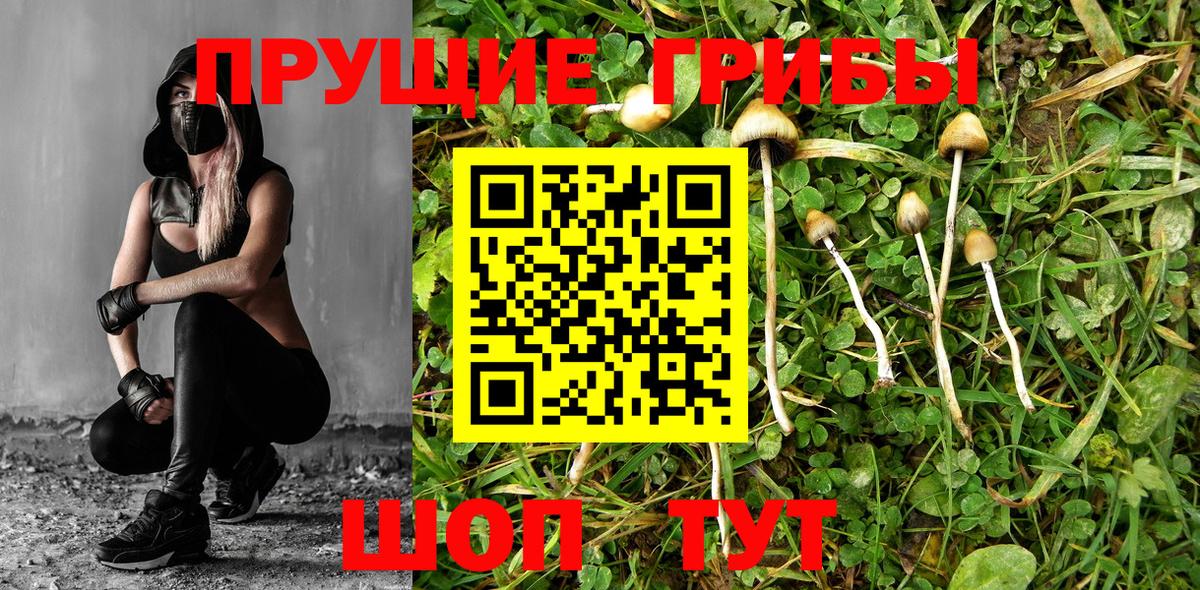 Рязань  Галлюциногенные грибы мухоморы  Вход с VPN  Галлюциногенные грибы ЛСД 